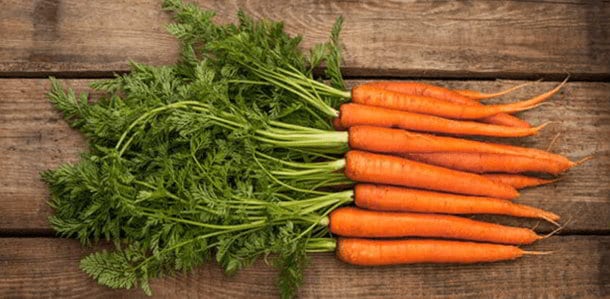 nutrients-in-carrots