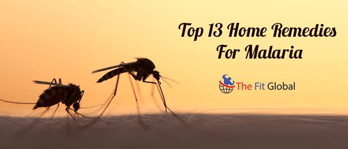 Top 13 Home Remedies For Malaria
