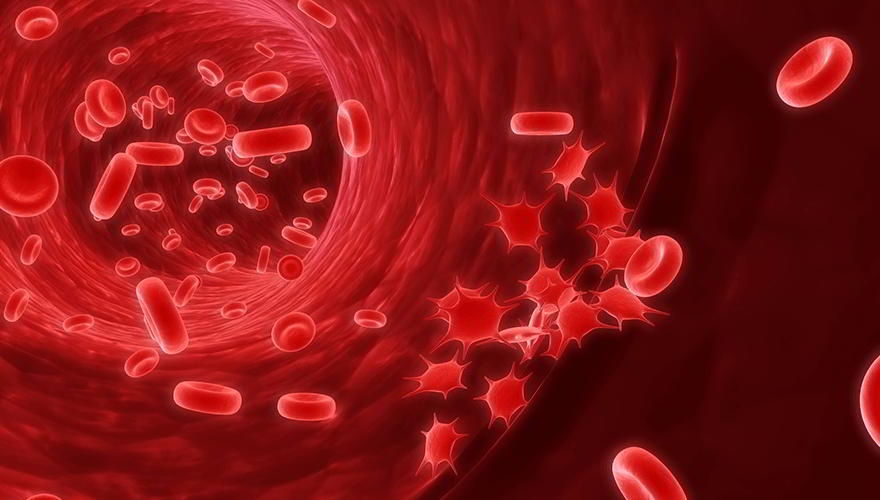 Blood platelets