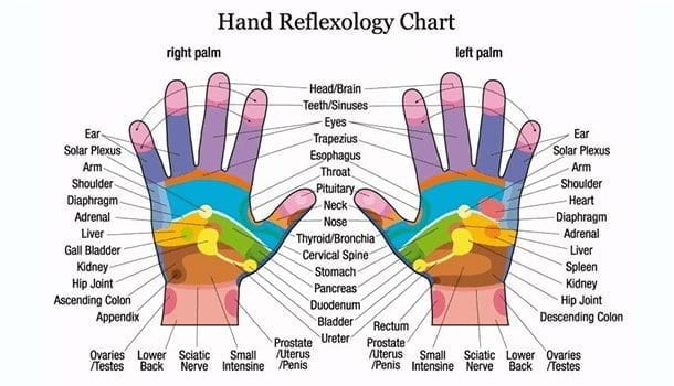 Hand reflexology chart