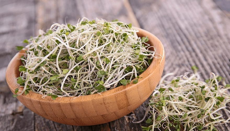 Sprouts For Hair, Skin, And Health