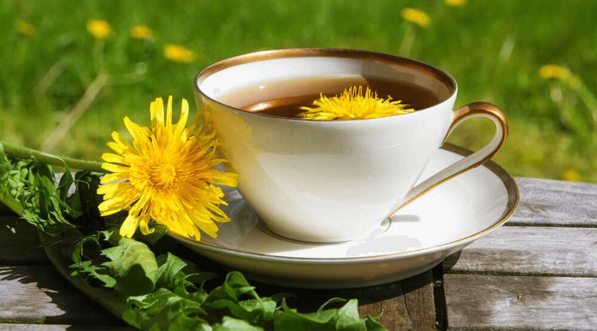 Versatile Health Benefits of Dandelion Root Tea1