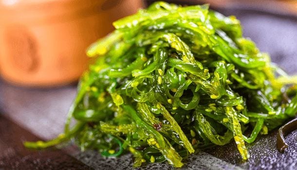 Green Seaweed or Codium Fragile