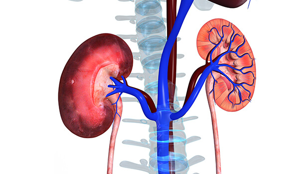 The awkwardness of Kidneys