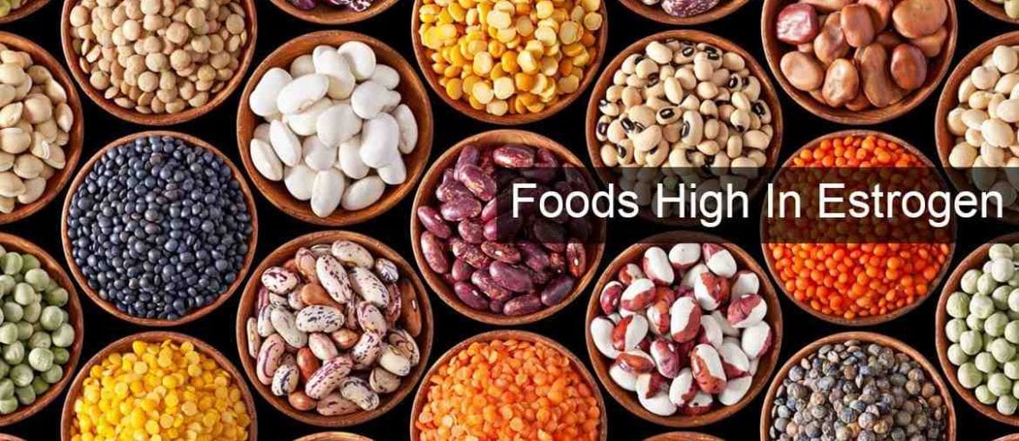 8 Foods High In Estrogen