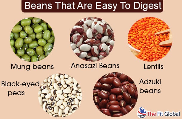 Beans That Are Easy To Digest