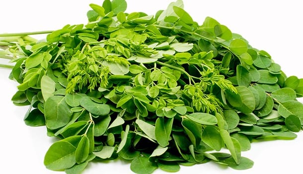 Is it safe to consume Moringa during pregnancy
