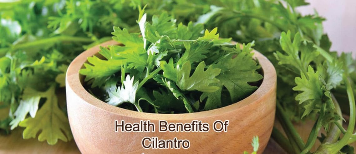 Health Benefits Of Cilantro