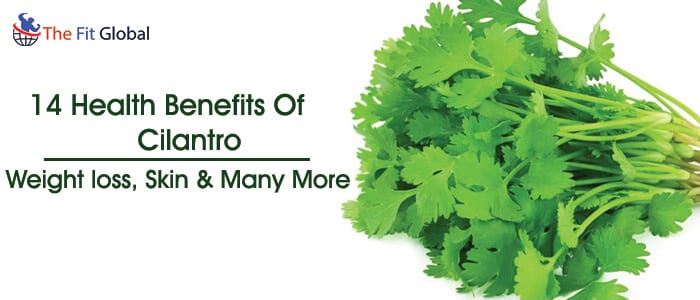 Health Benefits Of Cilantro