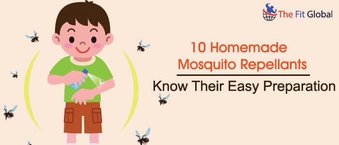 homemade mosquito repellent