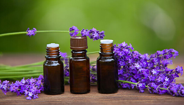 Inhale Lavender Essential Oil