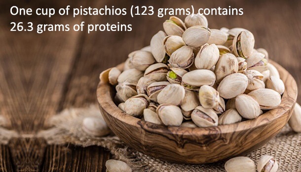 Great Source Of Proteins