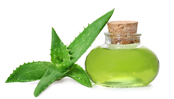 Aloe Vera And Its Anti Inflammatory Properties For Red Eye Treatment