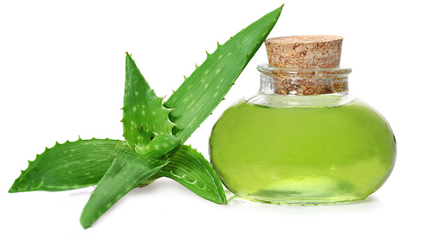 Aloe Vera The Best Moisturising Agent And One Of The Best Eczema Remedies