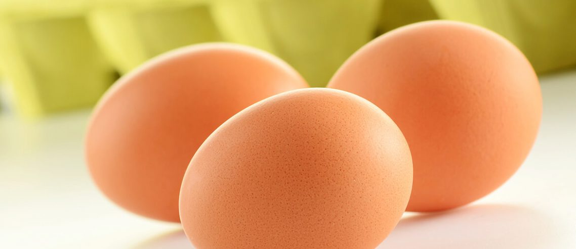 Benefits of Eggs in Everyday Life
