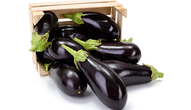 Eggplants for a Perfect Metabolism