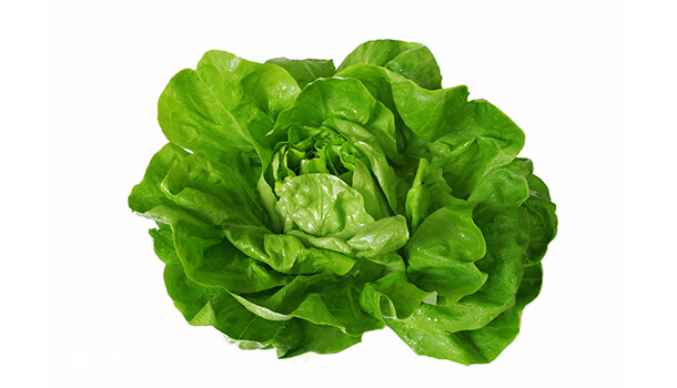 Lettuce Nutritional value
