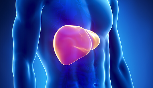 Maintaining the Liver Health