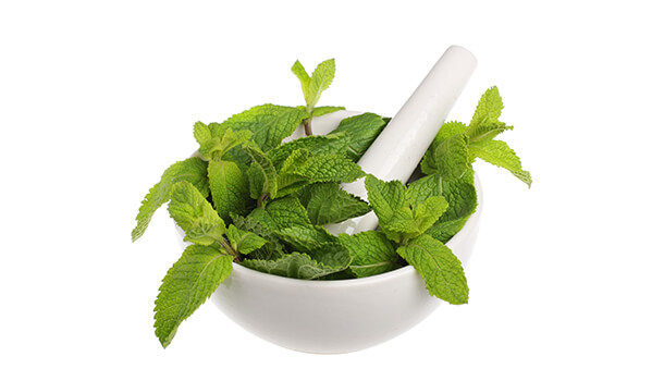Pop A Mint To Put An End To Your Meal